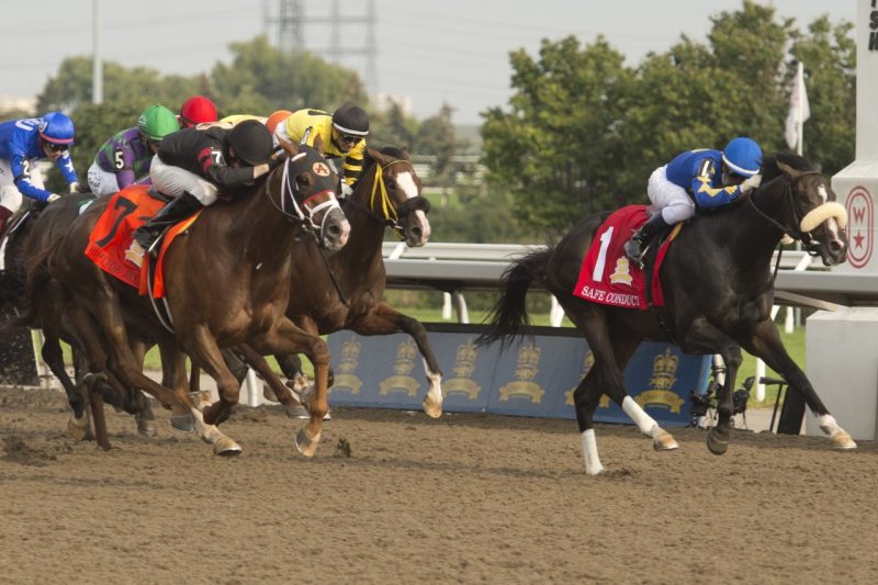 Safe Conduct and Irad Ortiz Jr. held off Riptide Rock to win the 162nd Queen's Plate.