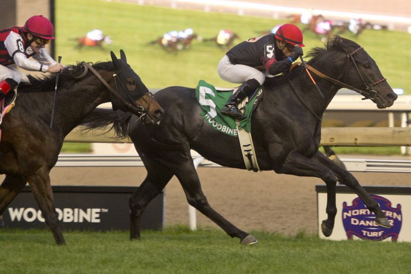 Silent Poet capturing last year's Nearctic Stakes over City Boy. 