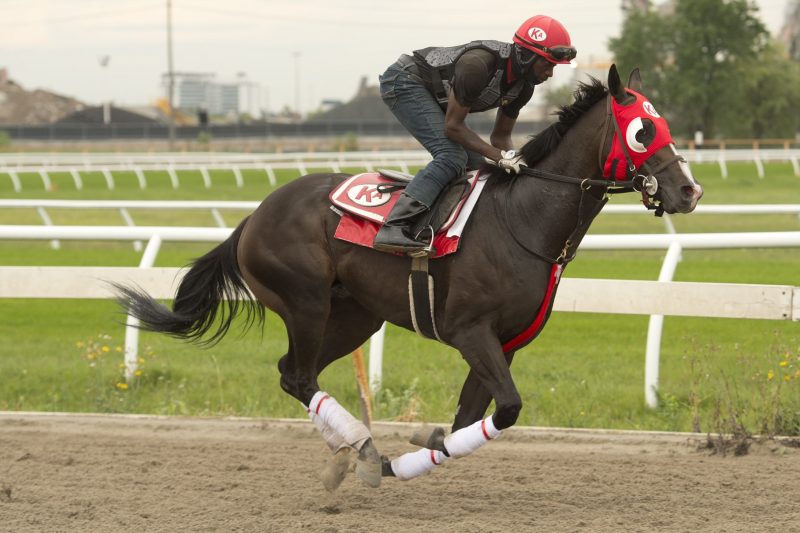 Truffle King will look to become the first maiden since 2000 to win the Queen's Plate.