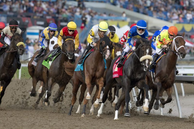 Jockey, Irad Ortriz Jr., guides Safe Conduct to victory in the 162nd edition of the Queen's Plate at Woodbine. (Michael Burns Photo)