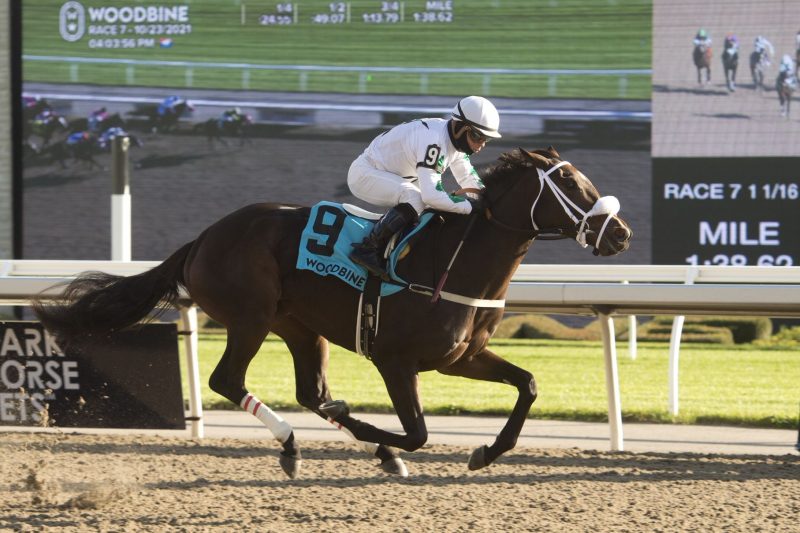 Moira winning the 2021 Princess Elizabeth. 