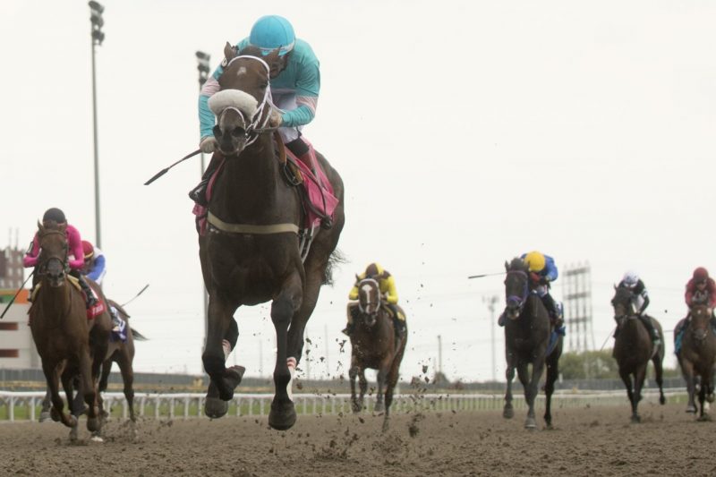 Moira and Rafael Hernandez winning the 163rd running of The Queen's Plate. (Michael Burns Photo)