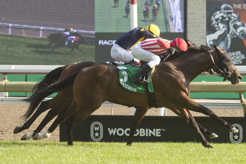 War Bomber (IRE) and jockey Rico Walcott winning the King Edward Stakes on August 19, 2023 (Michael Burns Photo)