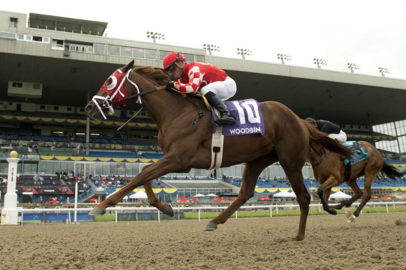 Munnyfor Ro, picture winning the Woodbine Oaks, could be supplemented to the 162nd Queen's Plate.