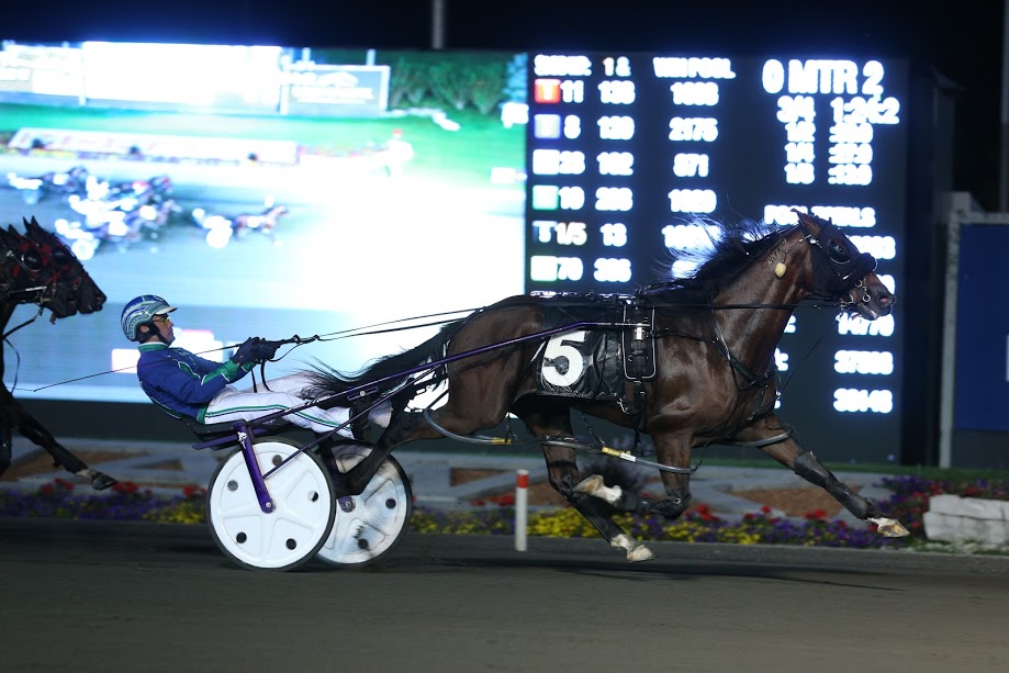 _______02 PEDRO HANOVER RC1.JPG